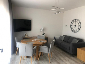 Apartament LUX Gray basen, SPA Pięć Mórz Sianożęty